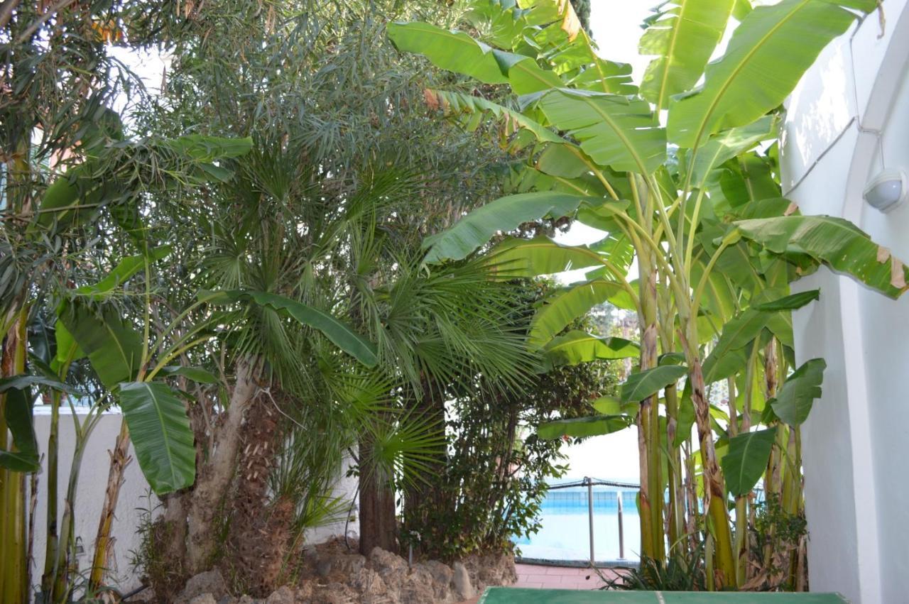 Apartament Il Kent Ischia Zewnętrze zdjęcie